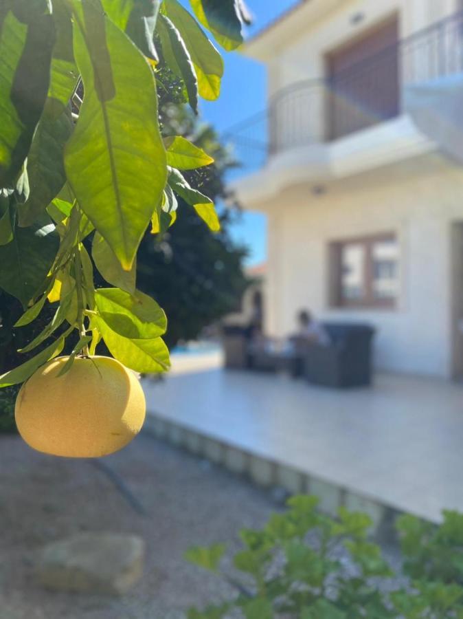 Episkopi Villa, Luxury 4 Bedroom With Pool - Limassol Eksteriør billede